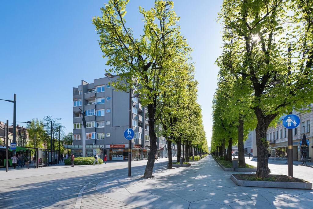 Central 2 Bd Apartment By Hostlovers Kaunas Bagian luar foto