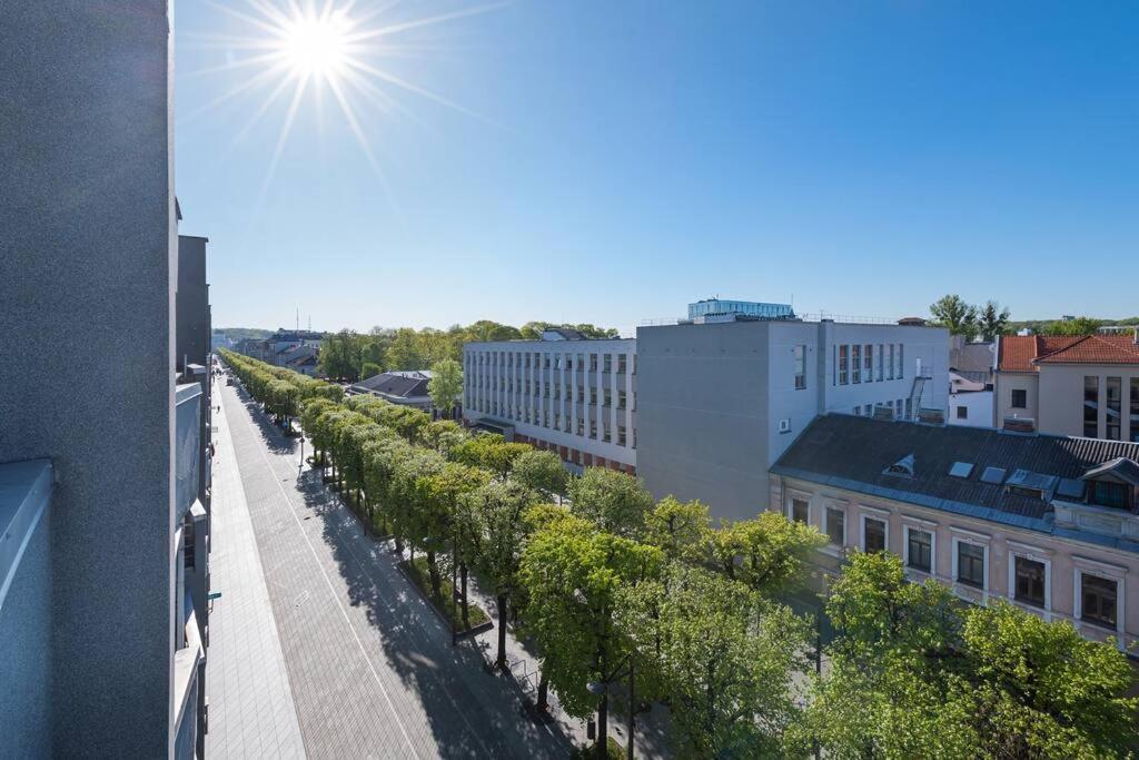 Central 2 Bd Apartment By Hostlovers Kaunas Bagian luar foto